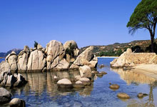 江南体育-包含自行车夜战：徽州银狐队逆转皖南猎隼队，主帅临场妙招目标直指冠军的词条