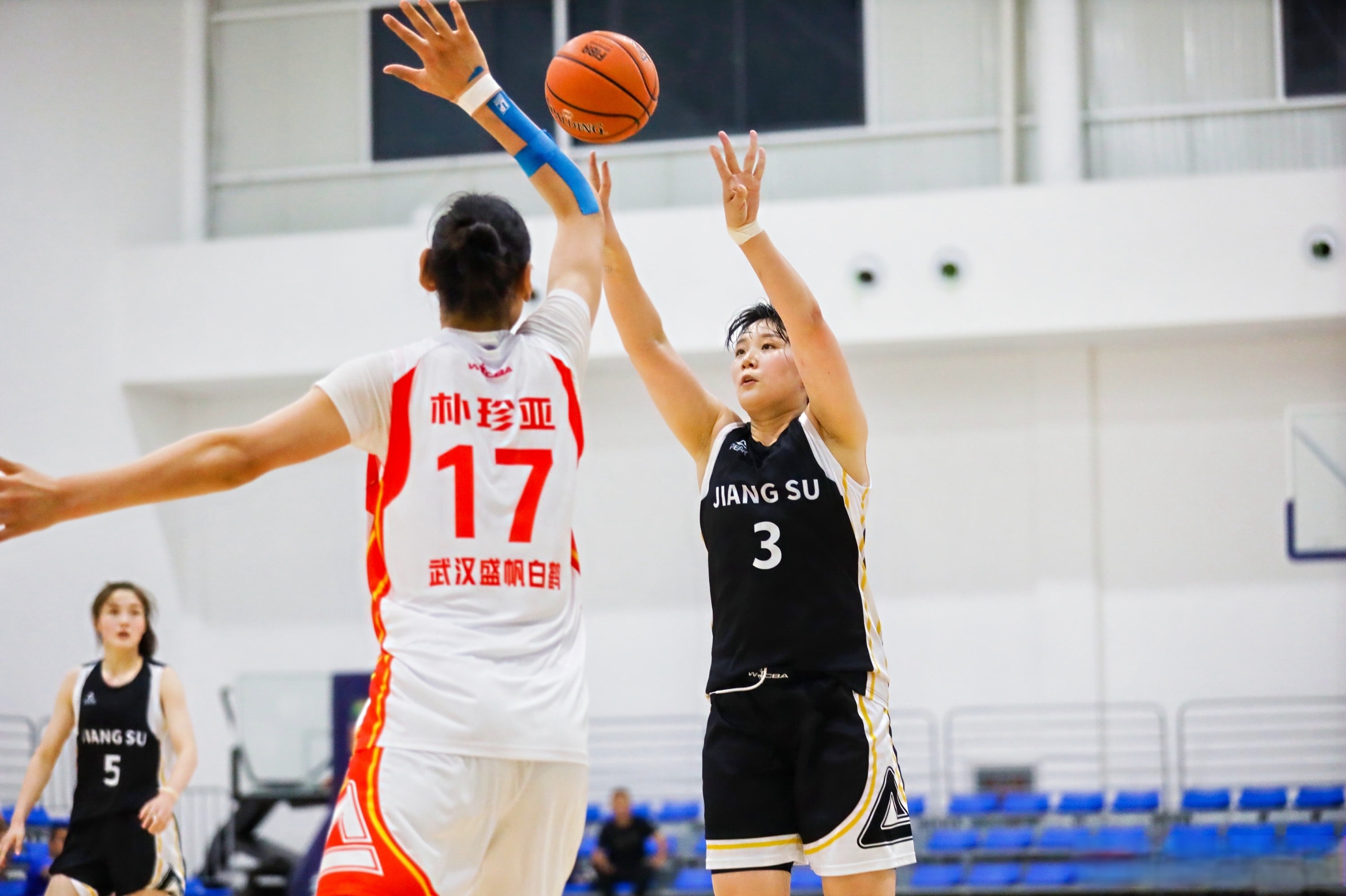 JN体育-包含排球夜战：中原飞鹰队绝杀塞北犀牛队，速度优势明显赛场纪律更严谨的词条